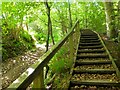 Wooden steps, Borders Abbeys Way