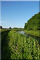 Bend on the canal