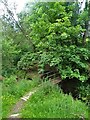 Footbridge in Slack Wood