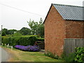 Colourful verge adjacent to barn