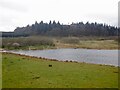 Snypes Dam and Neilston Pad