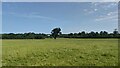 Field south of Stoke Poges