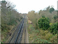 Railway west from Higham