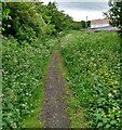 Path on old railway