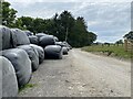 Silage bales at Langwm Farm