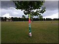 View of a tree wrapped in a knitted "scarf" in Mayesbrook Park #3