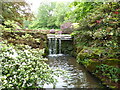 Waterfall, Old Park Valley, Lydney Park Gardens