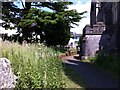 SX9392 : Path through churchyard of St. Michael & All Angels, Heavitree by A J Paxton