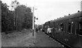 SU7829 : Open day at Longmoor Military Railway, 1968  4 by Alan Murray-Rust