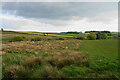 Grazing land off Peasunhurst Lane