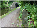 Old Milestone, Peak Forest Canal