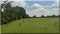 Field next to Casualty Cottage