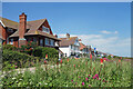 Flowers along Wellington Parade