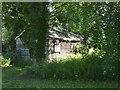 Derelict shed  in Tyndale Park