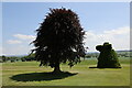 Topiary at Ascott House Grounds