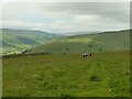 SD9871 : Walkers above Kettlewell by Stephen Craven