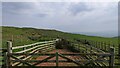 Sheep pen, Ballywilline Hill, Argyll