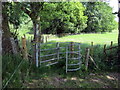 Llwybr i Frynamlwg / Path to Brynamlwg