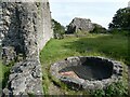 Ruins of Caergwrle Castle