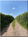 SN3915 : Farm track near Clyn Mawr by Alan Hughes