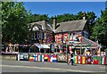 "The Big Tree" public house in Woodseats (II)