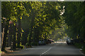 Empty Psalter Lane, Sheffield