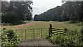 Footpath past Hangings Wood towards Dorney Hill