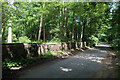 Road around Cavenham Park