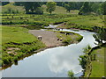 Cattle beside the Endrick Water