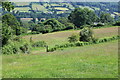 Field below Usk Valley Walk