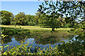 Pond at Alby Hill