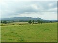 Field beside Gartacharn Farm