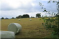 Hay field looking towards the Caroline Colyear Cottages