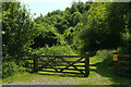 Path, Aveton Wood