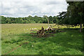 SK4764 : Fallen tree in Hardwick Hall Park by Bill Boaden
