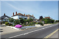 Pink Flowers, Sandwich Road