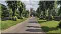 Tree Lined Avenue