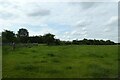 Hob Moor from North Lane