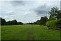 Path on Hob Moor