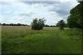 Paths on the eastern edge of Hob Moor