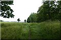 Path on the edge of the Knavesmire