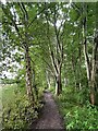SJ8978 : Woodland footpath by Graham Hogg