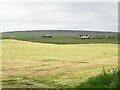 Cut field near Eastaquoy