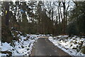 Footpath, Robingate Wood