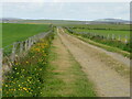 Farm track off the B9052