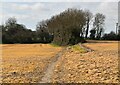 Footpath to East Langdon