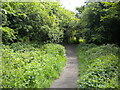 Footpath into Rough Wood, Short Heath (2)