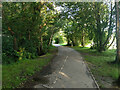 Path from Maidenbower Drive to Lucerne Drive, Maidenbower, Crawley