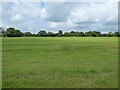 Footpath line across the field