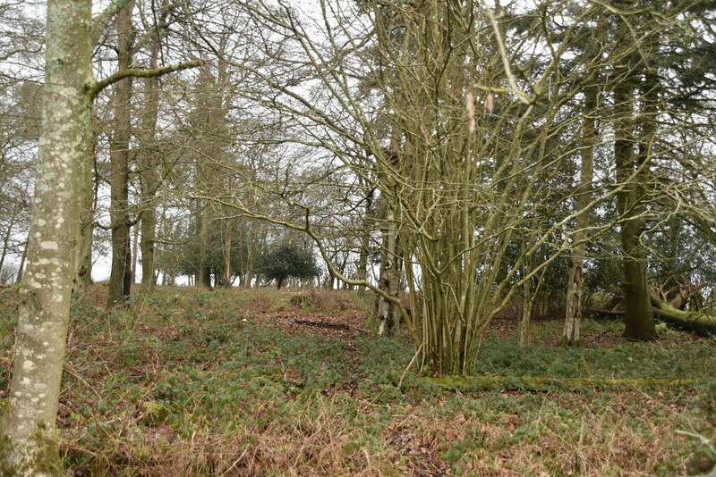 Square Wood © N Chadwick cc-by-sa/2.0 :: Geograph Britain and Ireland